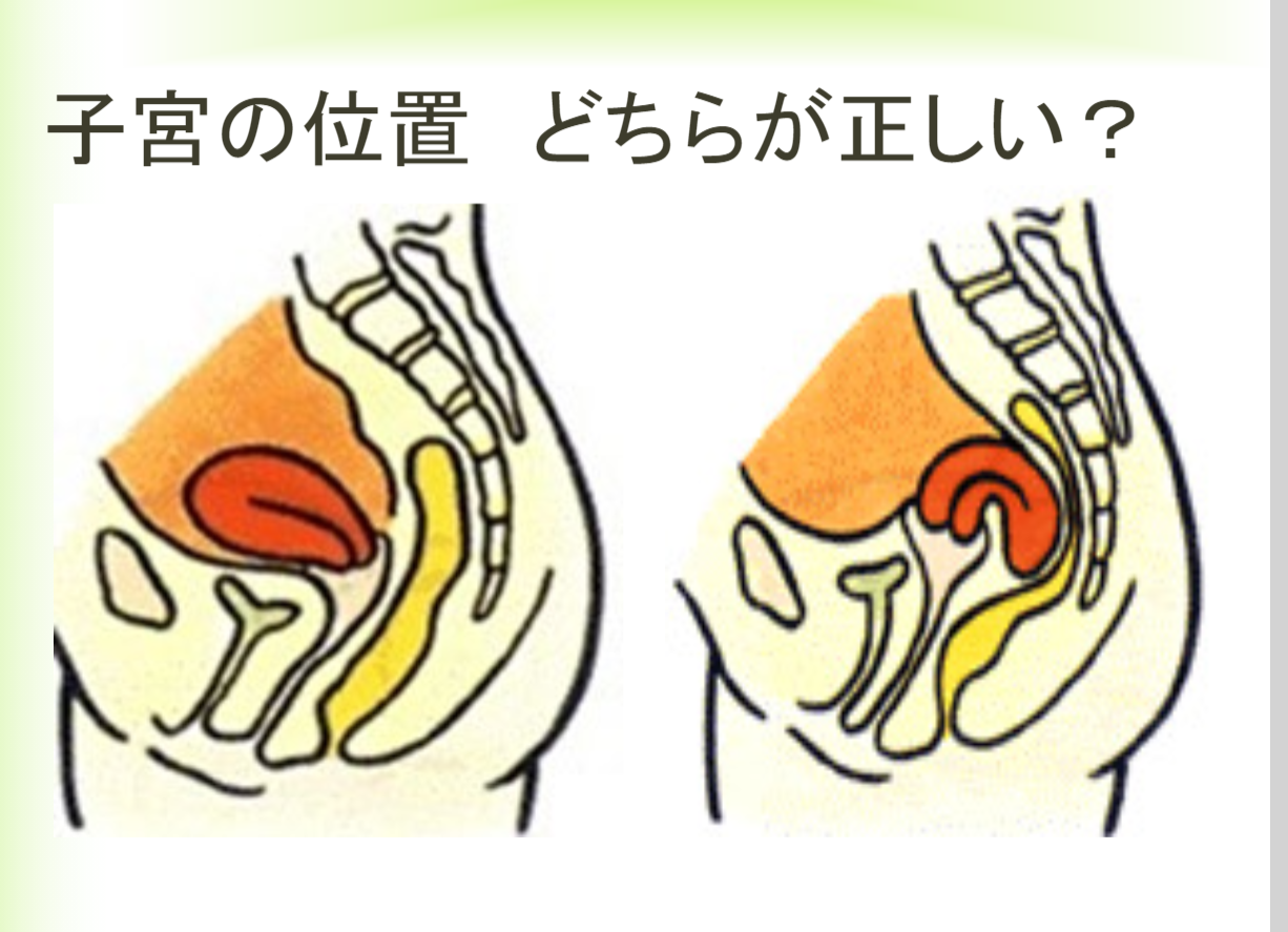 どっちが正しい？